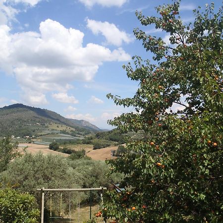 Les Chevrefeuilles Apartment Manosque Bagian luar foto