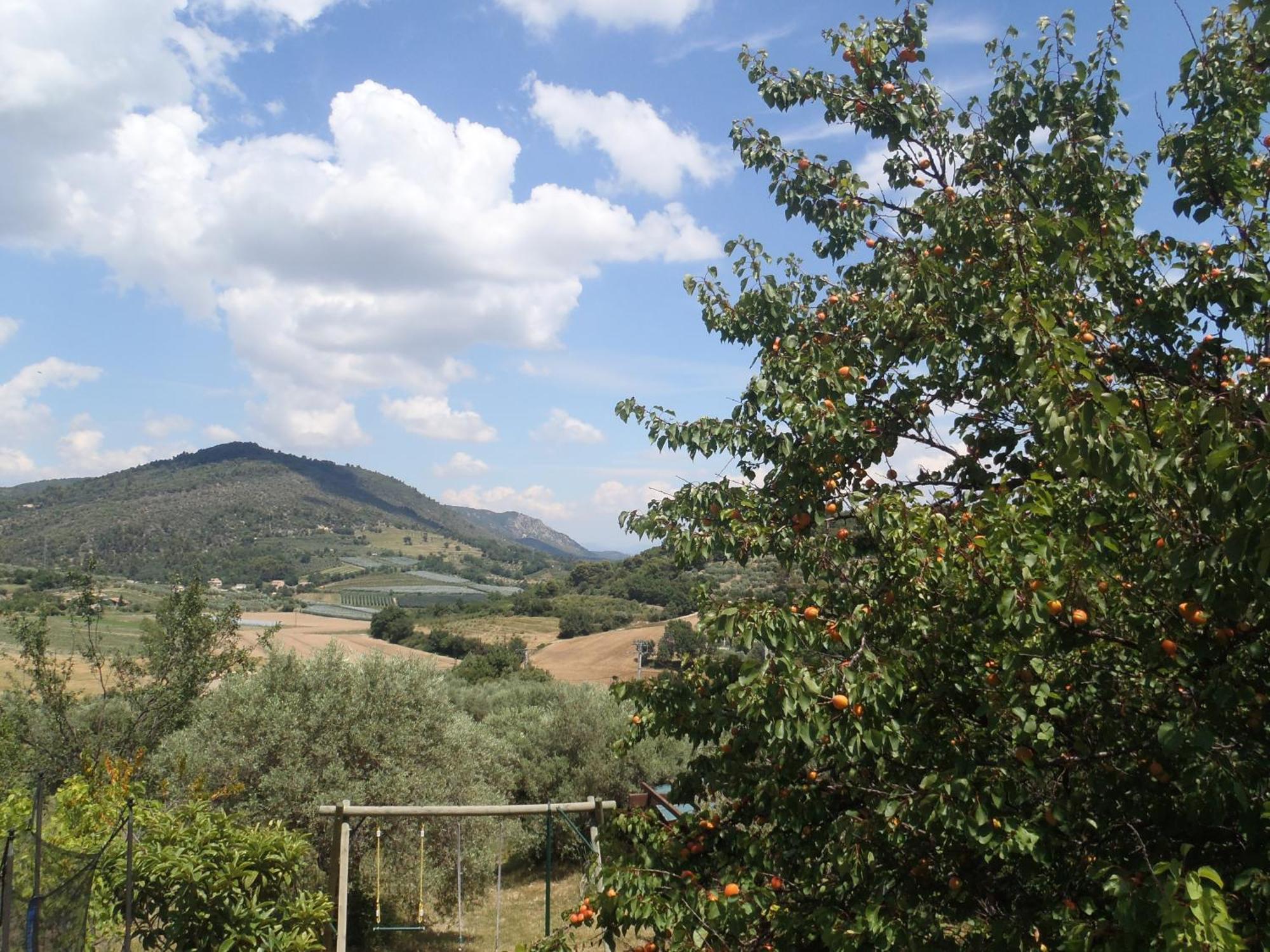 Les Chevrefeuilles Apartment Manosque Bagian luar foto