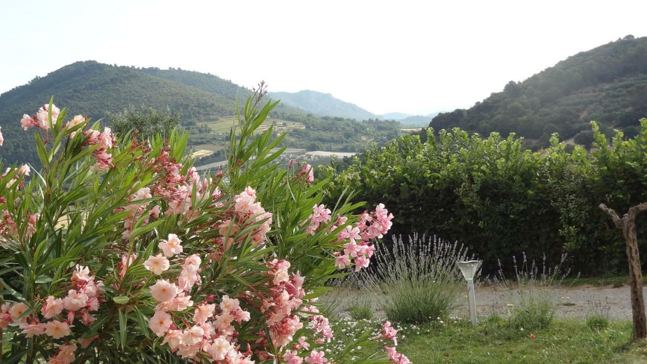 Les Chevrefeuilles Apartment Manosque Bagian luar foto